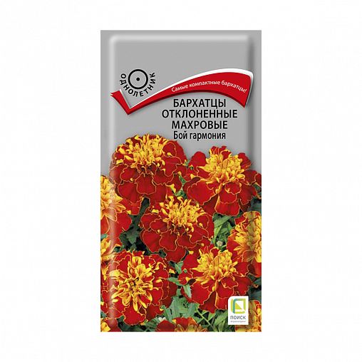 Семена цветов Бархатцы отклоненные махровые Бой гармония Поиск, 0,4 г фото