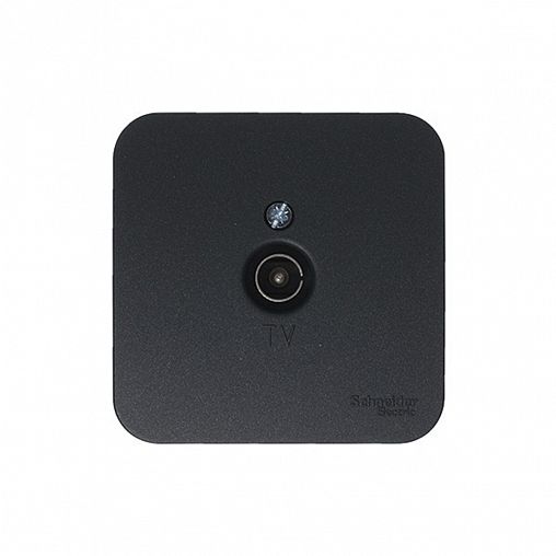 Розетка ТВ Systeme (Schneider) Electric Blanca BLNTA000016, накладная, антрацит фото