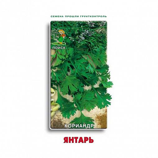 Семена Кориандр Янтарь Поиск, 3 г фото