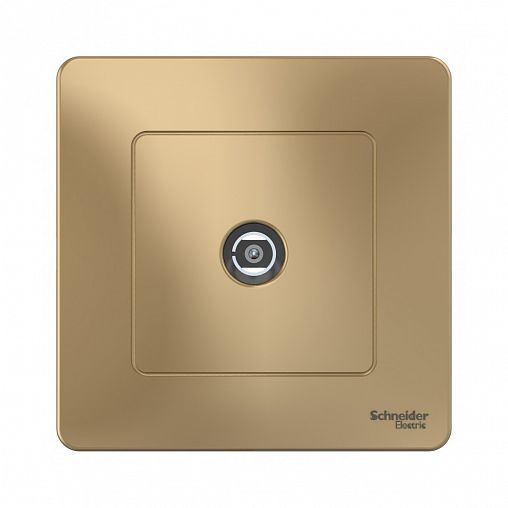 Розетка ТВ Systeme (Schneider) Electric Blanca, встраиваемая, титан фото