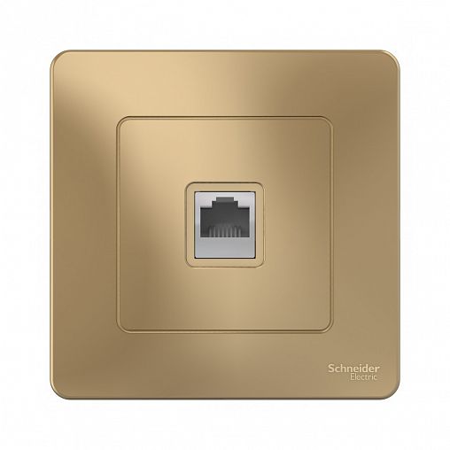 Розетка компьютерная RJ45 Systeme (Schneider) Electric Blanca, встраиваемая, титан фото