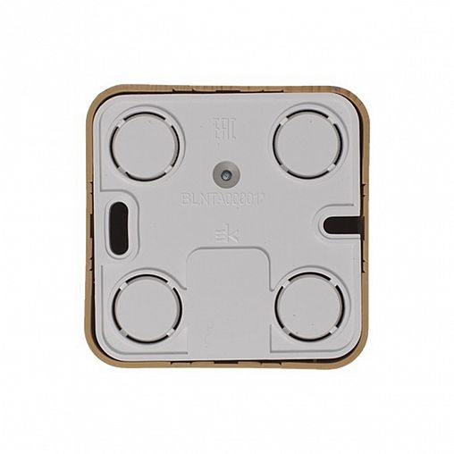 Розетка ТВ Systeme (Schneider) Electric Blanca BLNTA000015, накладная, ясень фото