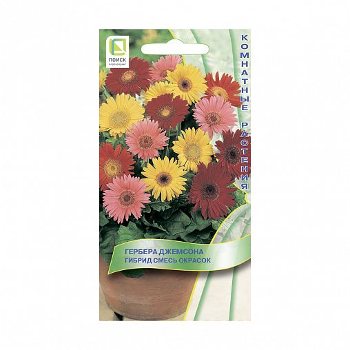 Семена цветов Гербера Джемсона Гибрид Смесь Окрасок Поиск, 10 шт фото