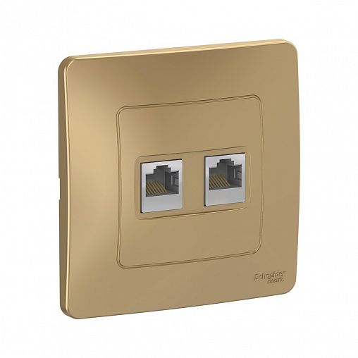 Розетка компьютерная RJ45 двойная Systeme (Schneider) Electric Blanca, встраиваемая, титан фото