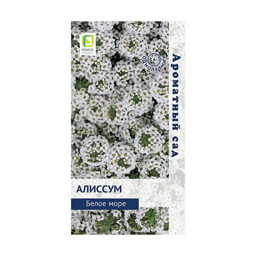 Семена цветов Алиссум Белое море Поиск Ароматный сад, 0,3 г фото