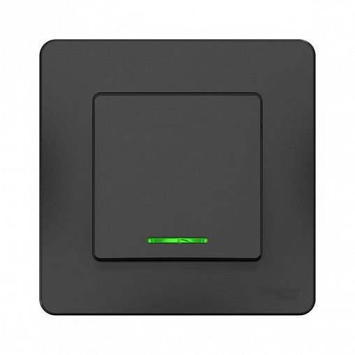 Переключатель 1-клавишный Systeme (Schneider) Electric Blanca, встраиваемый, с подсветкой, антрацит фото