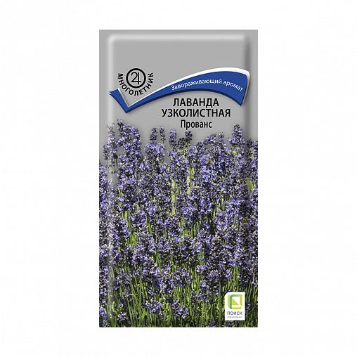 Семена цветов Лаванда Узколистная Прованс Поиск, 0,1 г фото