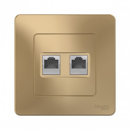 Розетка компьютерная RJ45 двойная Systeme (Schneider) Electric Blanca, встраиваемая, титан фото