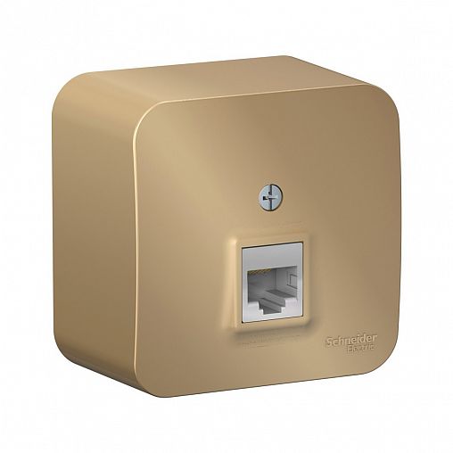Розетка компьютерная RJ45 Systeme (Schneider) Electric Blanca BLNIA045004, накладная, титан фото