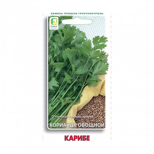 Семена Кориандр Карибе Поиск, 3 г фото
