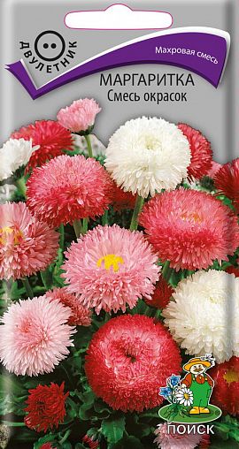 Семена цветов Маргаритка смесь окрасок Поиск, 0,1 г фото
