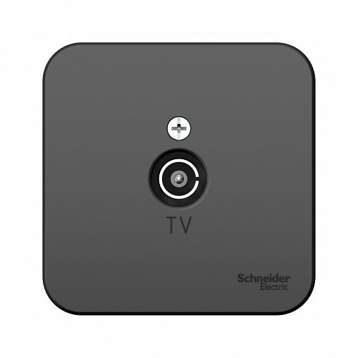 Розетка ТВ Systeme (Schneider) Electric Blanca BLNTA000016, накладная, антрацит фото