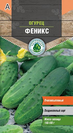 Семена Огурец Феникс Тимирязевский питомник, 0,5 г фото
