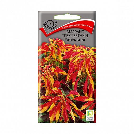 Семена цветов Амарант трехцветный Иллюминация Поиск, 0,1 г фото