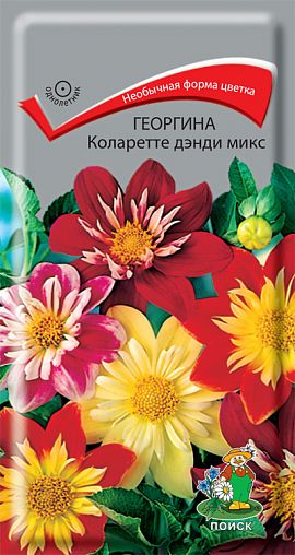 Семена цветов Георгина коларетте Денди микс Поиск, 0,2 г фото