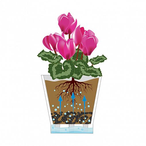 Горшок для орхидей Альтернатива Лея, с автополивом, 5 л, прозрачный фото