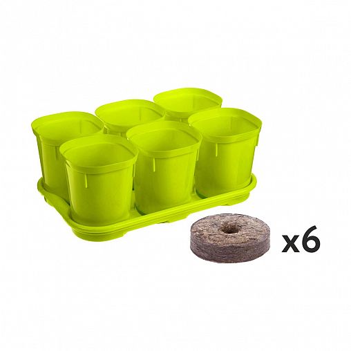 Набор горшочков для рассады InGreen, с поддоном,c торфяными таблетками, 400 мл, 6 шт фото