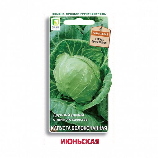 Семена Капуста белокочанная Июньская Поиск, 0,5 г фото