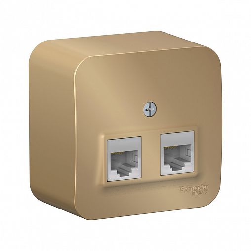 Розетка компьютерная RJ45 двойная Systeme (Schneider) Electric Blanca BLNIA045454, накладная, титан фото