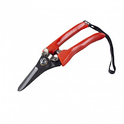 Секатор цветочный Feona, пластиковые ручки с ремешком, 170 мм фото