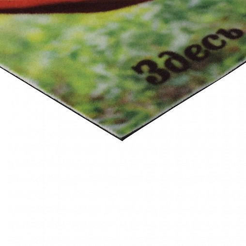 Коврик придверный Vortex Samba Собаки в гамаке, влаговпитывающий, 50 x 80 см фото