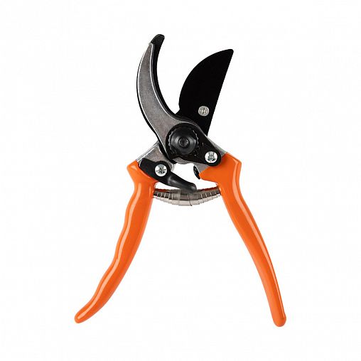 Секатор прямой Park, пластиковые рукоятки, 200 мм фото