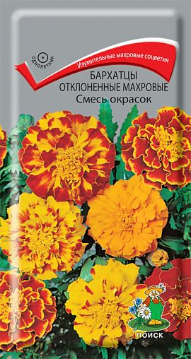 Семена цветов Бархатцы отклоненные махровые смесь окрасок Поиск, 0,3 г фото