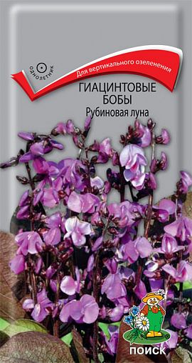 Семена цветов Гиацинтовые бобы Рубиновая луна Поиск, 1 г фото