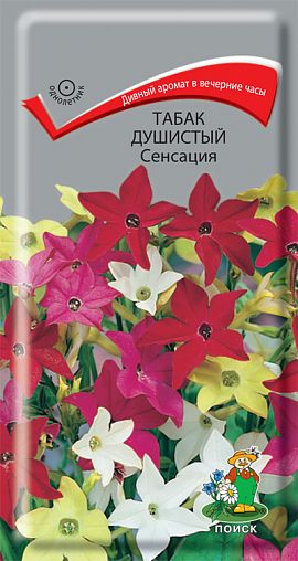 Семена цветов Табак душистый Сенсация Поиск, 0,25 г фото