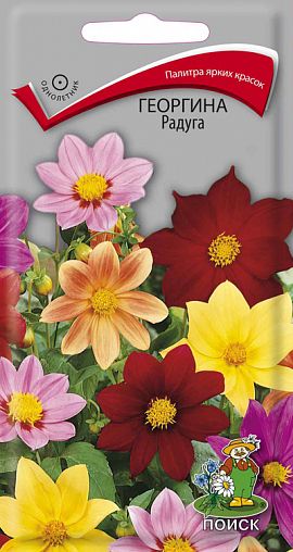 Семена цветов Георгина Радуга Поиск, 0,3 г фото