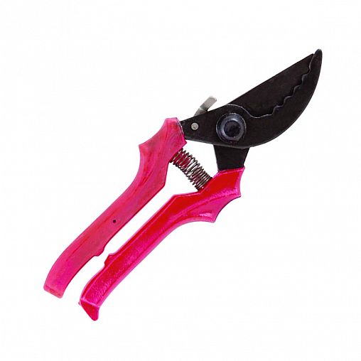 Секатор зубчатый с оксидированным покрытием, 220 мм фото