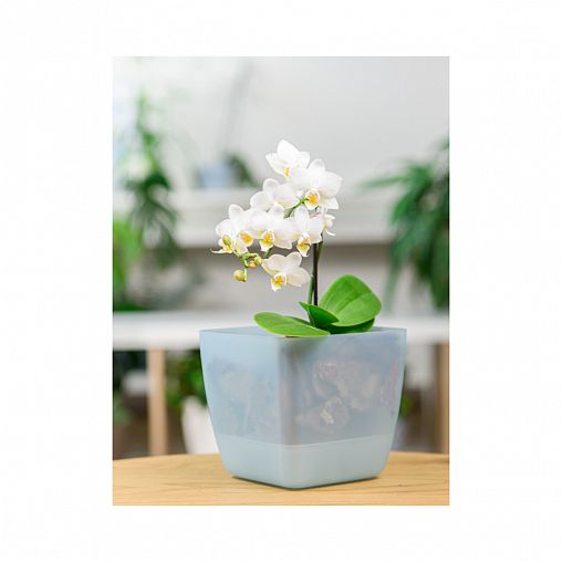 Горшок для цветов InGreen Vienna Orchid, квадратный, 1,5 л, голубой жемчуг фото