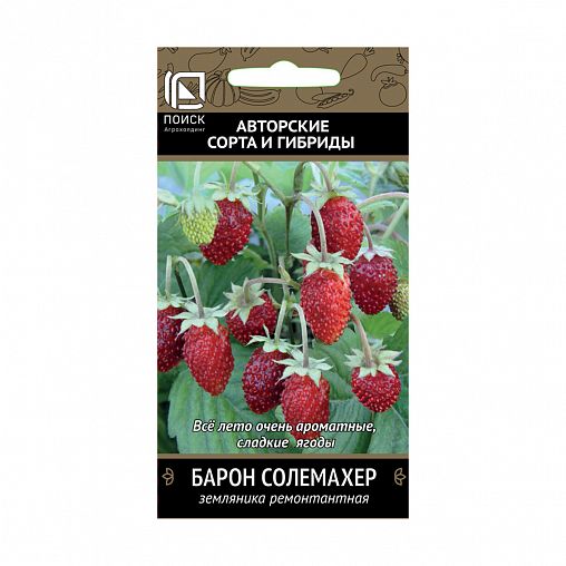 Семена Земляника ремонтантная Барон Солемахер Поиск Авторские сорта и гибриды, 100 шт фото