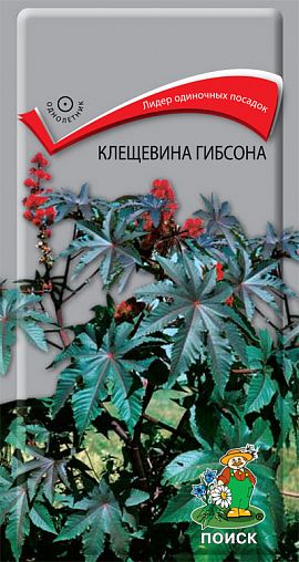 Семена цветов Клещевина гибсона Поиск, 2 г фото