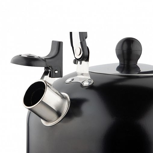 Чайник со свистком Casual, нержавеющая сталь, 2,7 л, черный фото