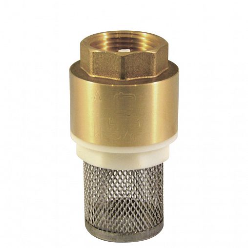 Клапан обратный СТМ с сеткой 1" фото