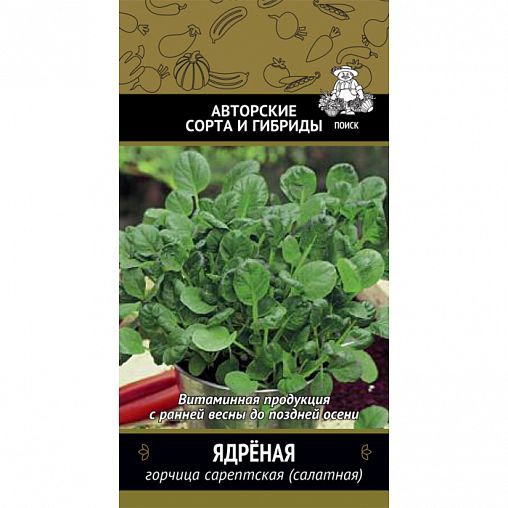Семена Горчица сарептская (салатная) Ядрёная Поиск Авторские сорта и гибриды, 1 г фото