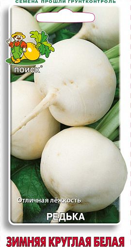 Семена Редька Зимняя круглая белая Поиск, 2 г фото