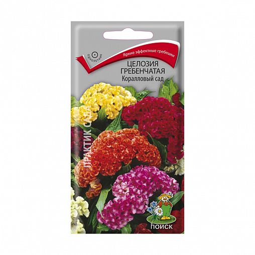 Семена цветов Целозия Гребенчатая Коралловый сад Поиск, 0,1 г фото