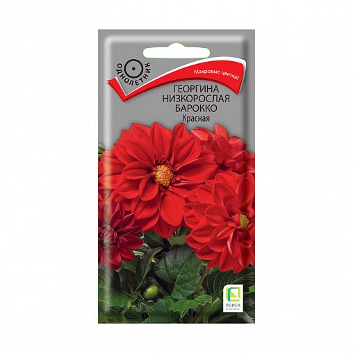 Семена цветов Георгина Низкорослая Барокко Красная Поиск, 0,1 г фото