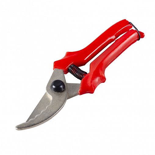 Секатор зубчатый с никелированным покрытием, 220 мм фото