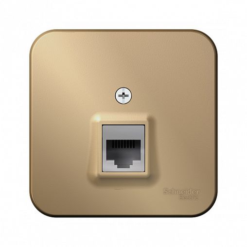 Розетка телефонная RJ11 Systeme (Schneider) Electric Blanca BLNIA011004, накладная, титан фото