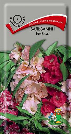 Семена цветов Бальзамин Том Самб Поиск, 0,1 г фото