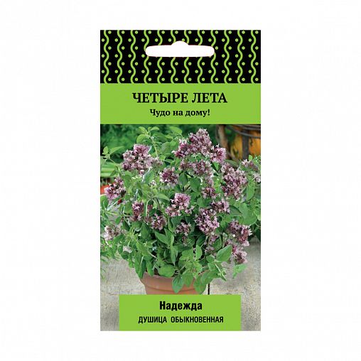 Семена Душица обыкновенная Надежда Поиск Четыре лета, 20 шт фото