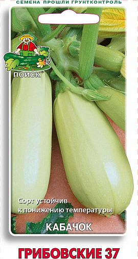 Семена Кабачок Грибовские 37 Поиск, 12 шт фото
