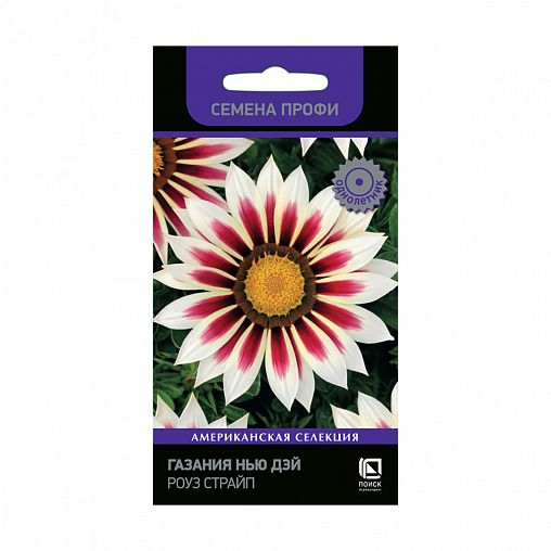Семена цветов Газания Нью дэй Роуз страйп Поиск Семена Профи, 10 шт фото