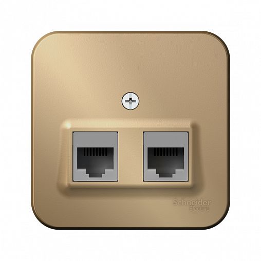 Розетка компьютерная RJ45 двойная Systeme (Schneider) Electric Blanca BLNIA045454, накладная, титан фото