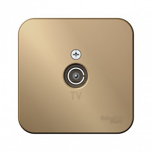 Розетка ТВ Systeme (Schneider) Electric Blanca BLNTA000014, накладная, титан фото