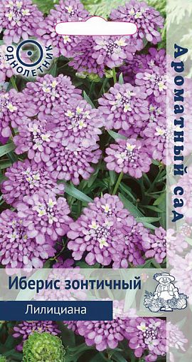 Семена цветов Иберис зонтичный Лилициана Поиск Ароматный сад, 0,3 г фото