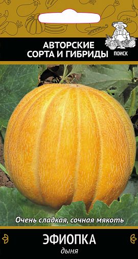Семена Дыня Эфиопка Поиск Авторские сорта и гибриды, 15 шт фото